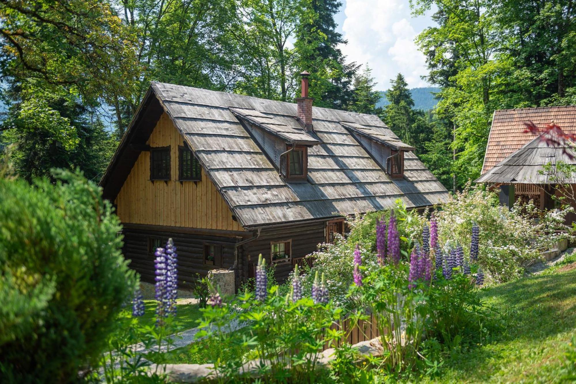 Pocitniska Hisa Koca Dobnik Villa Lovrenc na Pohorju Eksteriør billede