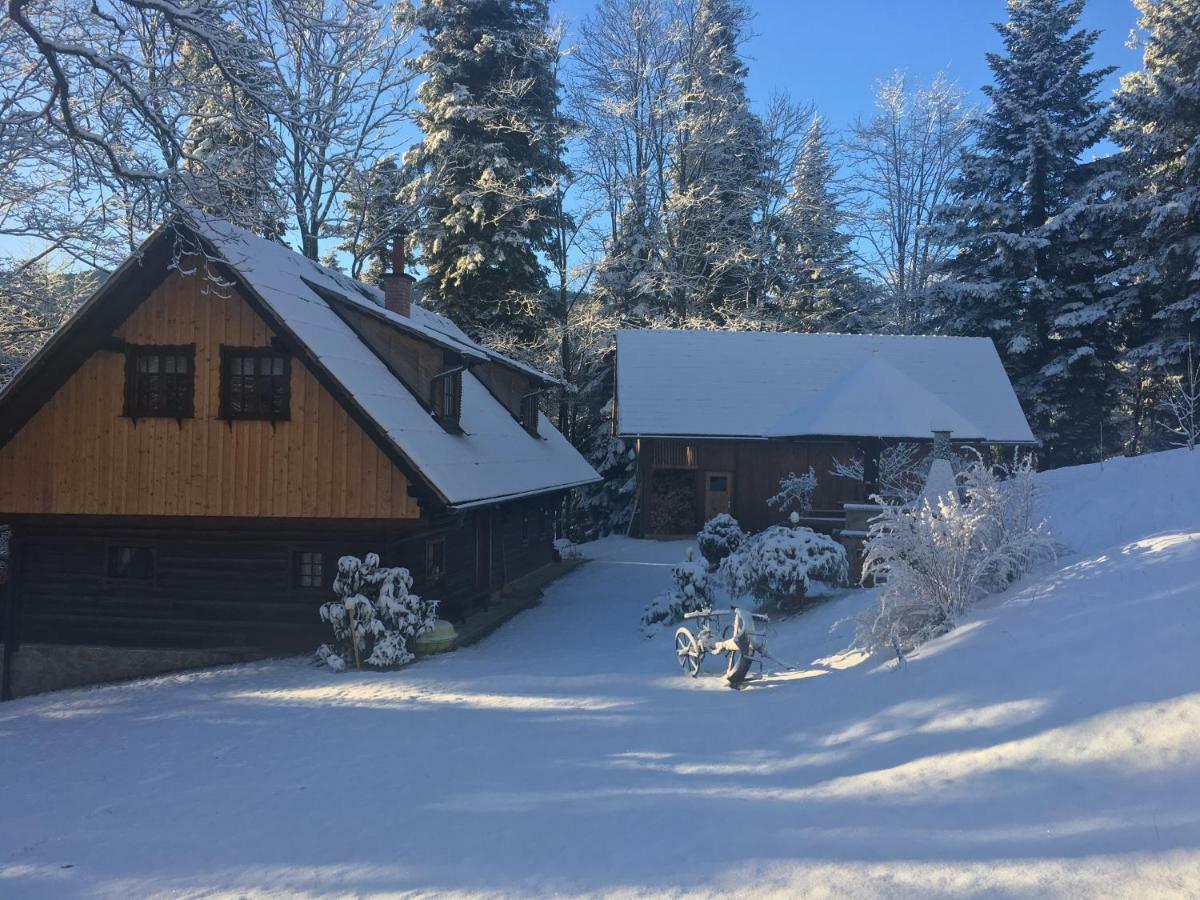 Pocitniska Hisa Koca Dobnik Villa Lovrenc na Pohorju Eksteriør billede