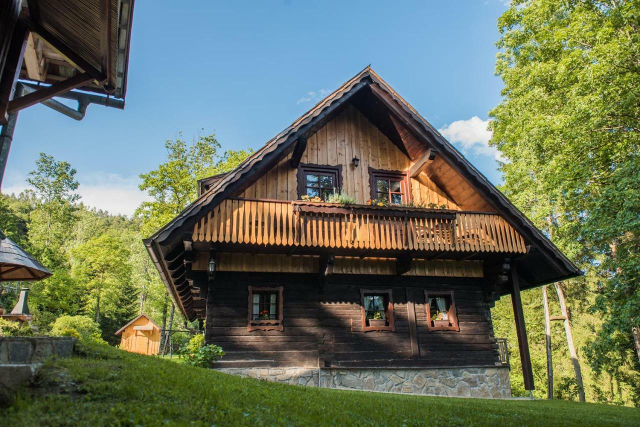 Pocitniska Hisa Koca Dobnik Villa Lovrenc na Pohorju Eksteriør billede