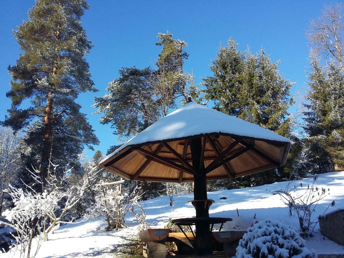 Pocitniska Hisa Koca Dobnik Villa Lovrenc na Pohorju Eksteriør billede